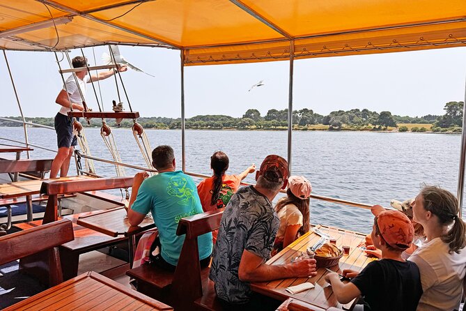 2-Hour Dolphin Guided Safari NP Brijuni from Fazana - Drinks, WiFi, and the onboard comforts
