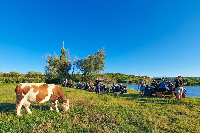 2 hours Beginner Quad Tour at Dalmatia Inland - Key points before you book