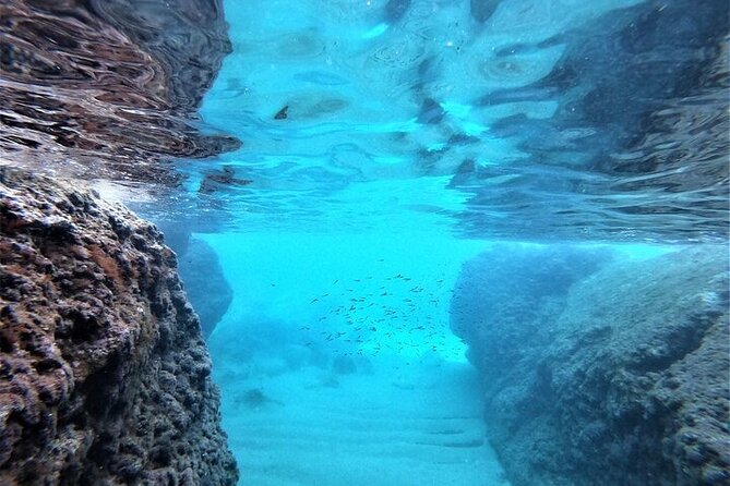 2 hours Elafiti Islands Private Tour by Barracuda 545 - The early departure is worth considering
