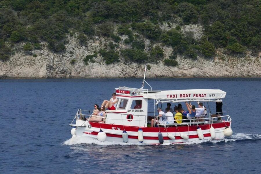 3,5h Wild Bays: Swim & Snorkel with Capt. Bobo (Public) - Fox Bay, Bishop Bay, Long Bay, and Cornels Bay