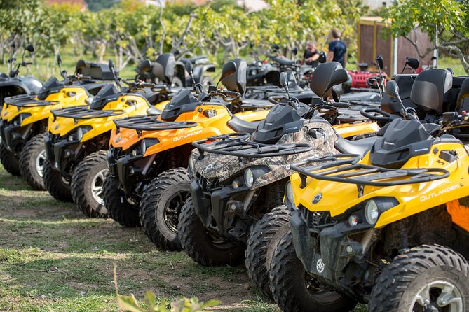 3-Hour Dubrovnik Countryside ATV/Quad Safari Adventure Tour - Who will enjoy this, and who should skip it