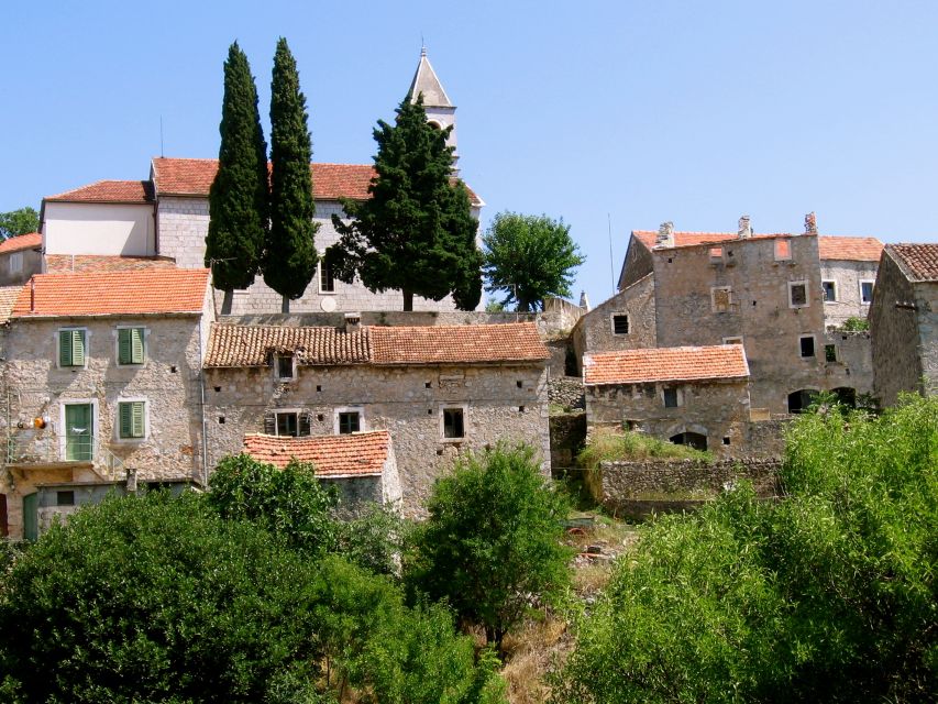 3-Hour Lavender Tour from Hvar - Who will enjoy this Hvar lavender tour?
