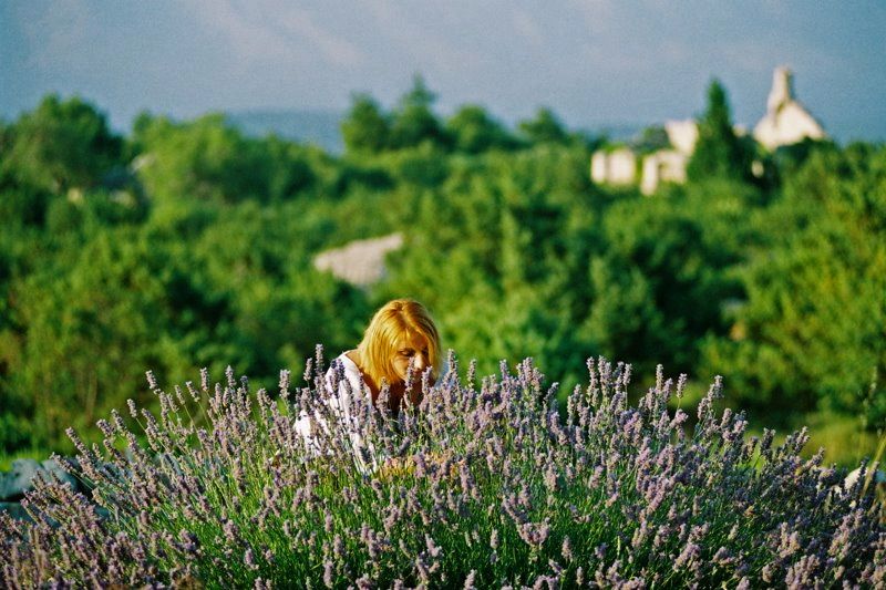3-Hour Lavender Tour from Hvar - What the 2.5-hour format means for you