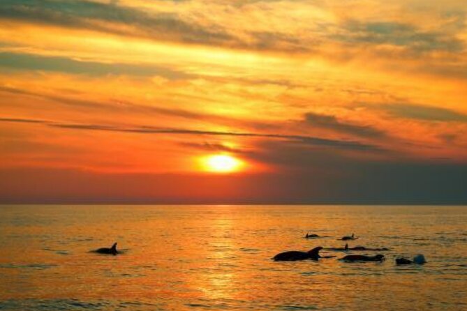3hours all inclusive Sunset&Dolphin Tour from Medulin on Sandra - Dinner on the boat
