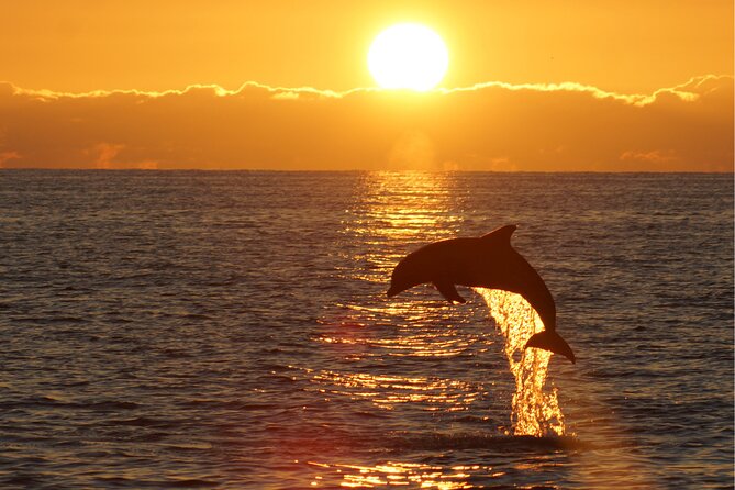 3hours all inclusive Sunset&Dolphin Tour from Medulin on Sandra - Who should book this Medulin cruise?
