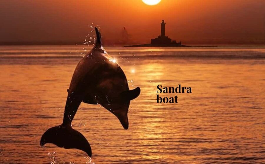 3hours Dolphin Sunset watching with unlimited drinks +dinner - Key points to know before you book