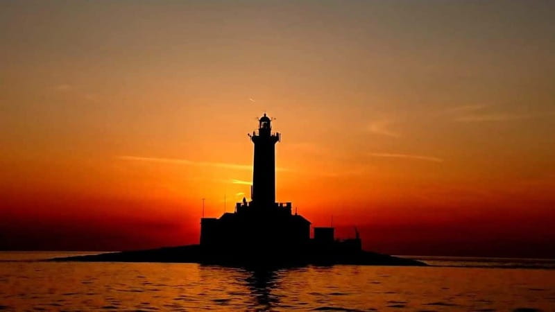 3hours Dolphin Sunset watching with unlimited drinks +dinner - What the $45 price really covers