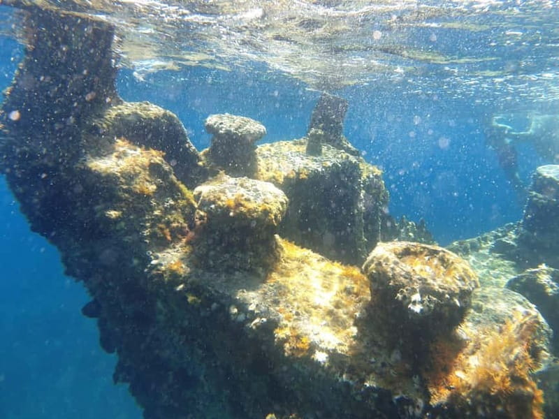 4 Jewels of Zadar, Dugi otok, sunken ship - Half day - Snorkeling above the sunken ship Ledenik