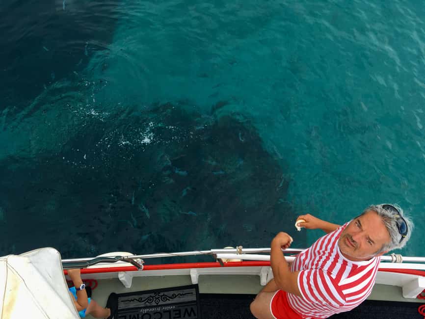 5h Plavnik Island: Swim & Snorkel with Capt. Bobo (Public) - From Punat Harbor to Plavnik Island