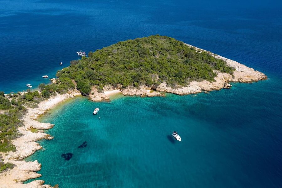 5h Plavnik Island: Swim & Snorkel with Capt. Bobo (Public) - Dolphins, deer, and the limits of wildlife watching