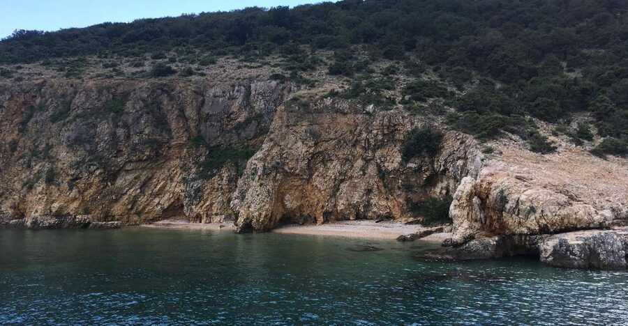 5h Plavnik Island: Swim & Snorkel with Capt. Bobo (Public) - Should you book the Plavnik excursion?