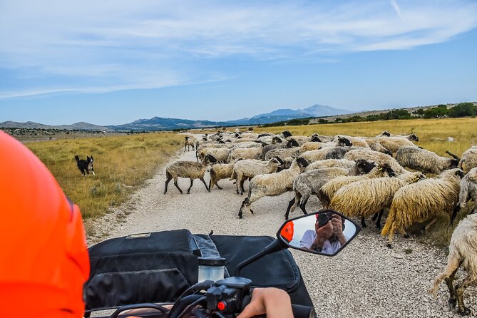 ATV Dinara Mountain tour with picnic - Is $99.21 a fair price?