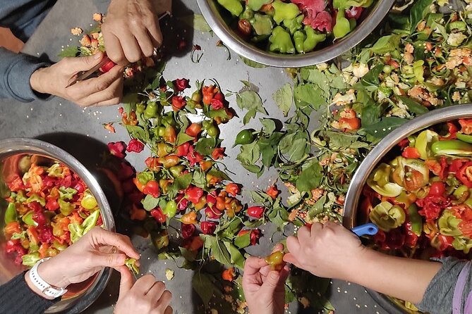 Authentic Garden to Table Cooking Class in Dubrovnik Countryside - Lunch with wine and a family tree
