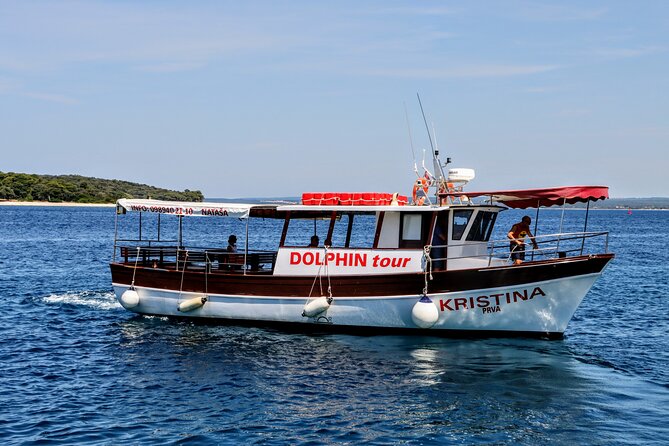 Beautiful Sunset and Dolphin Watching - Key points to know before booking