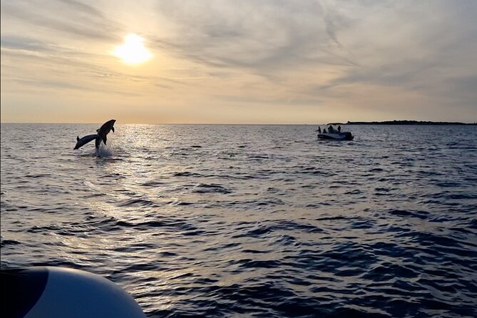 Beautiful Sunset and Dolphin Watching - Brijuni National Park from the water