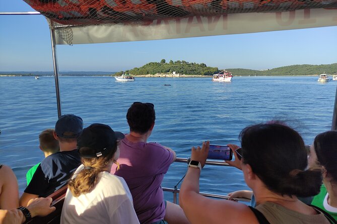 Beautiful Sunset and Dolphin Watching - Sunset on the return cruise