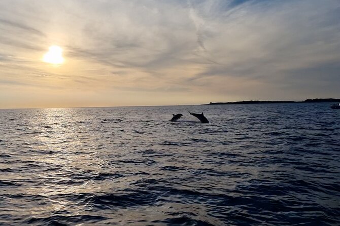 Beautiful Sunset and Dolphin Watching - Drinks, food, and the pace of the trip