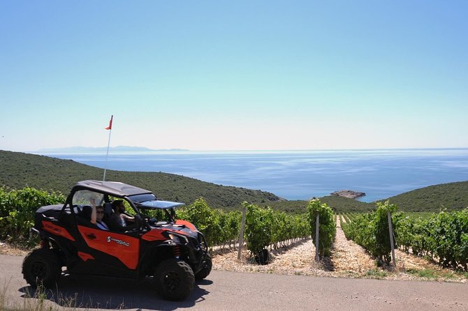 Best of Korcula island winery's by 4X4 Canam buggys with lunch - Why this Korcula buggy tour feels different
