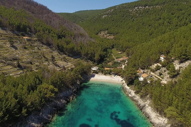Best of Korcula island winery's by 4X4 Canam buggys with lunch - Across vineyards, olive groves, and island tracks