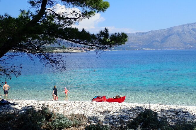 Bits of History - Half day kayak Tour with Wine delight - What the 78.64 dollar price buys you
