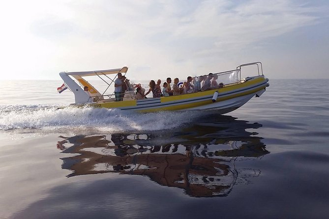 Blue Cave | 5-Hour Afternoon Sea Safari - Key points to know before booking