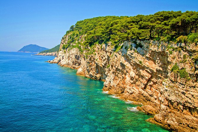 Pine and limestone falling into the Adriatic on the Dalmatian coast
