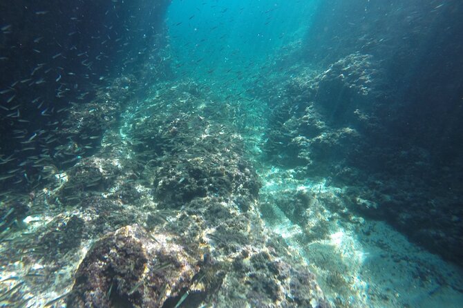 Blue cave tour with a speedboat-small group - Timing, booking, and one important caution