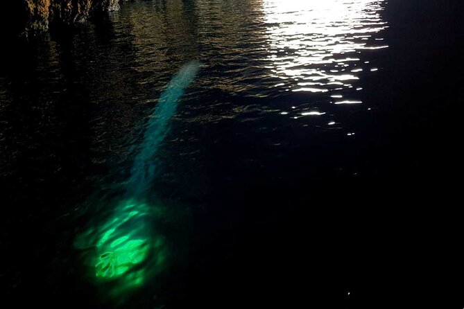 Blue & Green Cave Vis Island and Pakleni Islands Private Day Trip from Hvar - The Green Cave offers two ways inside