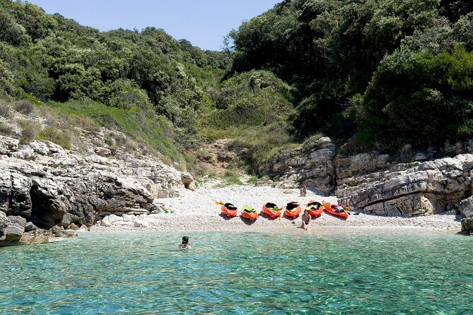 BOAT & KAYAK! Sea Adventure - Snorkeling & Cliff Jumps - Boat support and the return to Marina Polesana