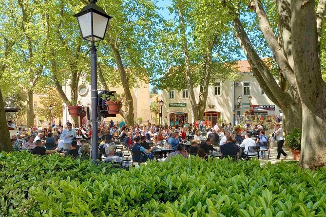 Bosnia Food and Wine Experience Tour - From Dubrovnik - A three-course-style lunch at Tuli