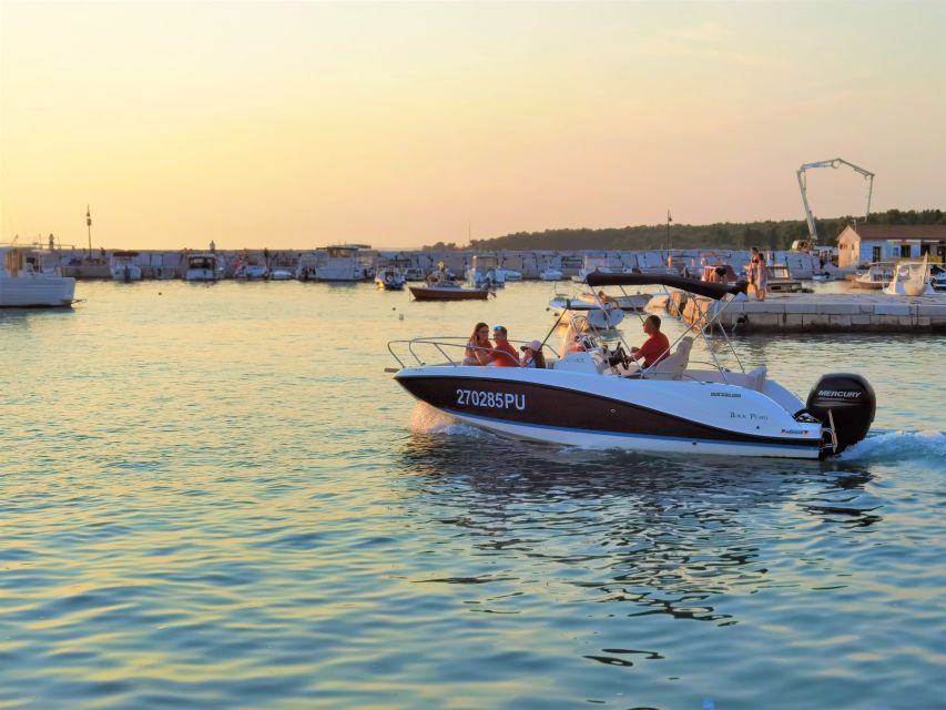 Brijuni Islands: Sunset & Dolphins private boat tour - Key points to know before booking