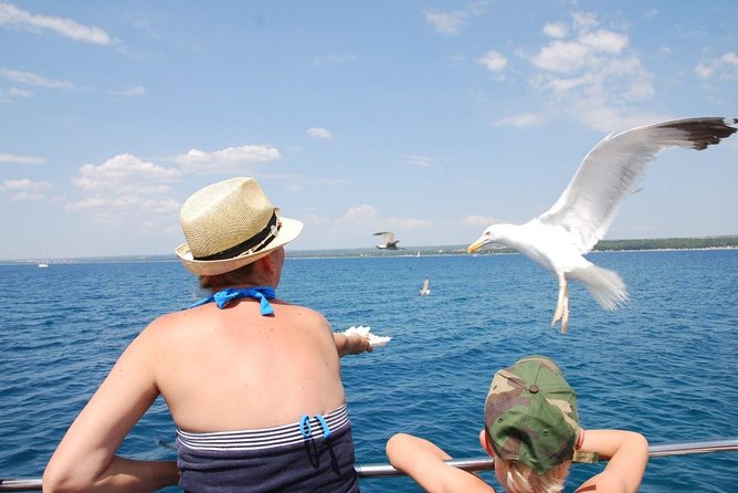 Brijuni National Park Boat Excursion from Pula. With a visit to the island - How much value do you get for $66.08?