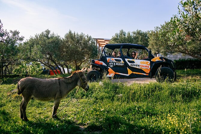 Buggy Dubrovnik Safari Tour (Private) - The 415-meter Dubrovnik Observation Point