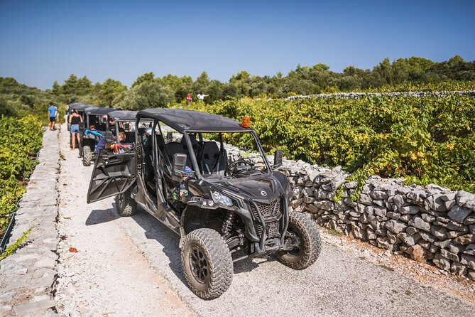 Buggy Safari With Wine Tasting - The 10:00 am start in Korcula Town