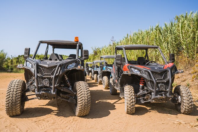 Buggy Safari With Wine Tasting - Adria winery and the island tasting
