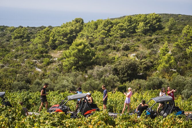 Buggy Safari With Wine Tasting - Vela Przina in Lumbarda: the main swim stop