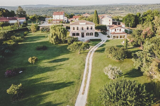 Buje: Authentic Istrian family farm, guided walk, foods & wine - Starting among 31 fruit varieties