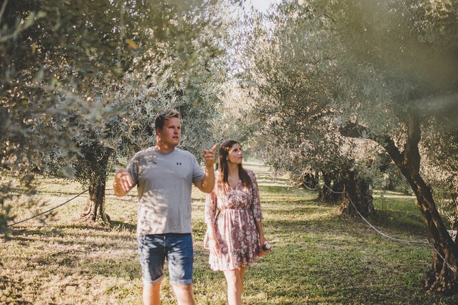 Buje: Authentic Istrian family farm, guided walk, foods & wine - Walking the olive grove and vineyard