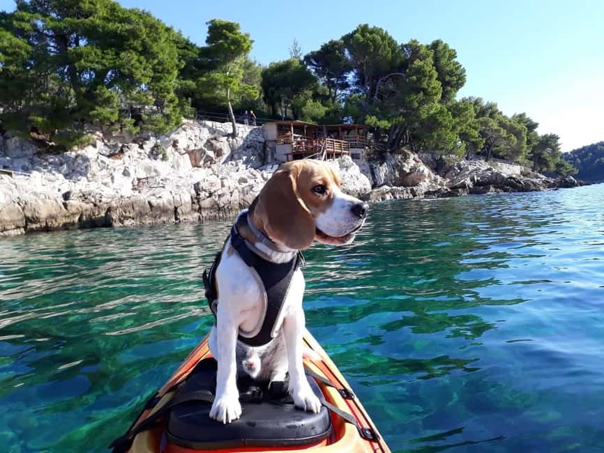 Cavtat: 'Pomalo' Guided Sea Kayaking Tour - The first paddle around Cavtat