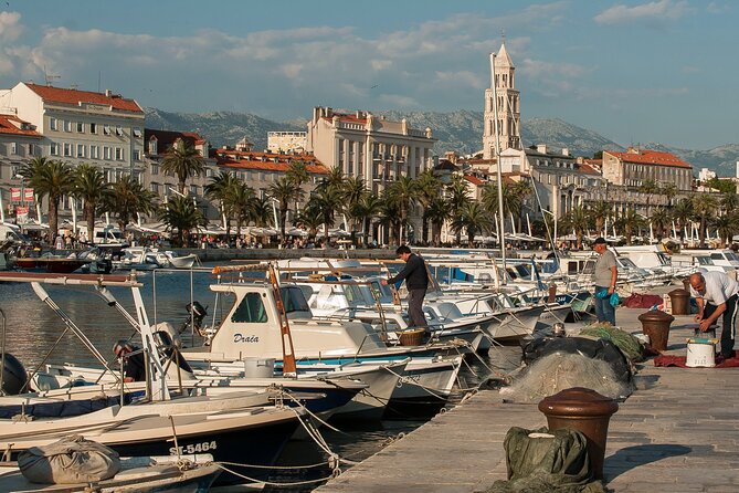 City Bike Tour of Split - The climb through Marjan Park