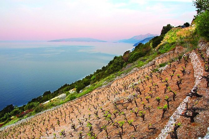 Classic Tour with Wine Tastings from Dubrovnik - Three wineries and a wider taste of Croatia