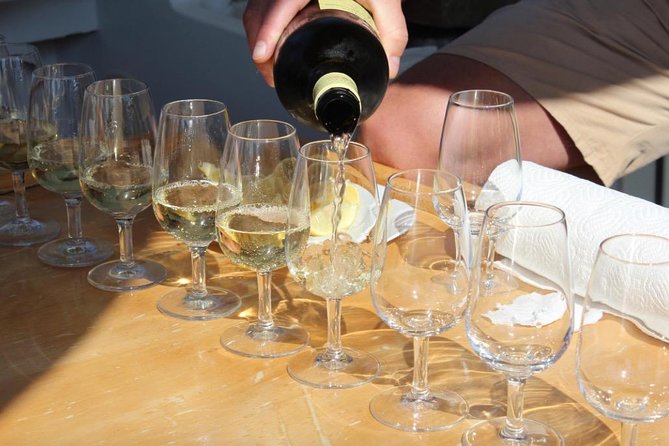 Classic Tour with Wine Tastings from Dubrovnik - Who will enjoy this day most?