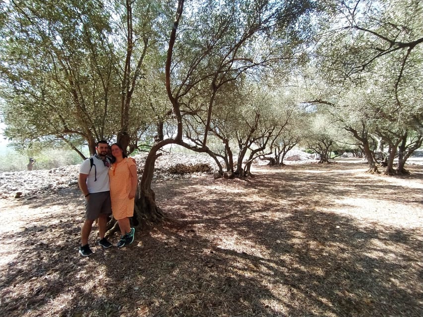 Cres: Olive Oil Walking Tour with Tastings - How much value do you get for $47?