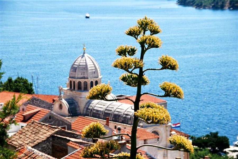 Dalmatian Delights: Food & Wine Tour from Split or Trogir - Dinner is the heart of the experience