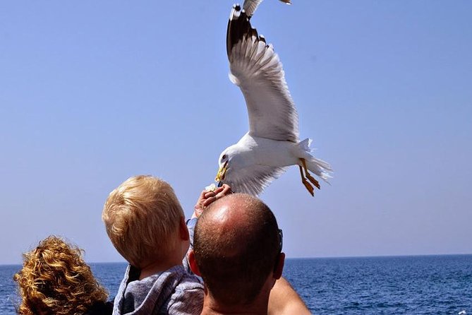 Day Cruise in the Elafiti Islands from Dubrovnik - Koločep: a final island taste