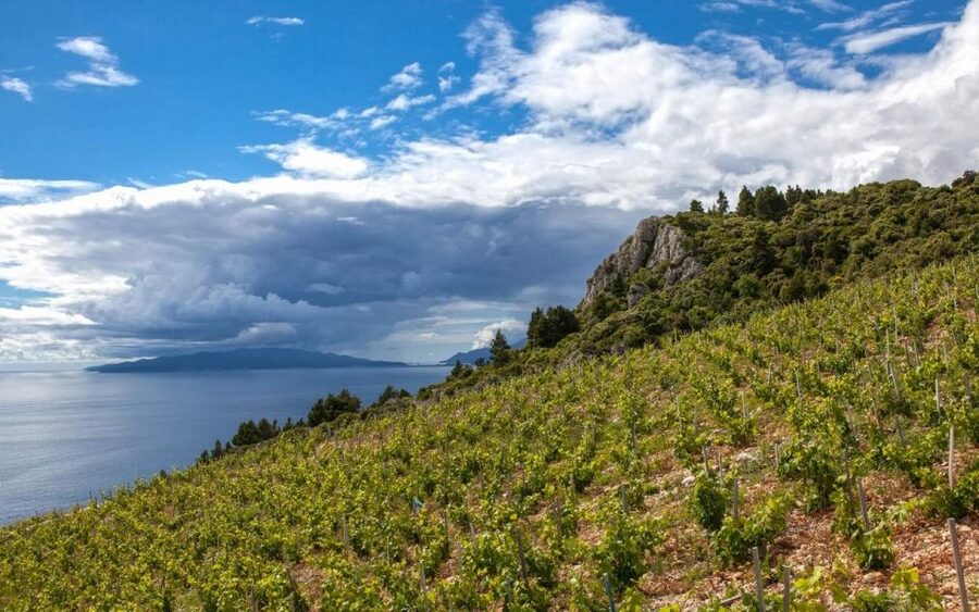 Day Tour from Dubrovnik - Korčula and Pelješac Wine Tasting - Ston gives you a short taste of medieval Dalmatia