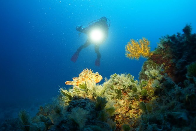 Diving day tour with 2 dives - Key points for this Tucepi scuba outing