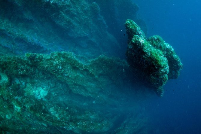 Diving day tour with 2 dives - What the $91.31 price really covers