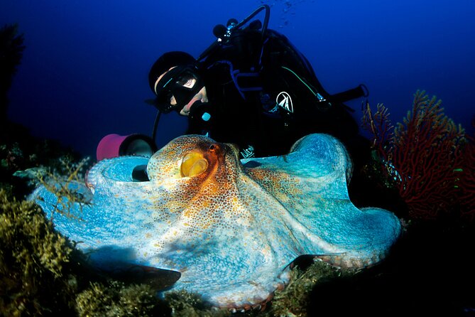 Diving day tour with 2 dives - Who will get the most from this trip