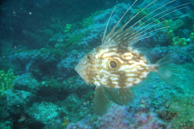 Diving day tour with 2 dives - Preparing equipment while the boat heads offshore